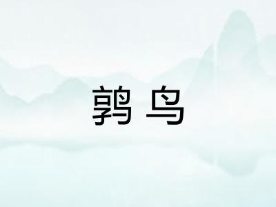 鹑鸟