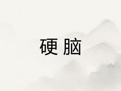 硬脑