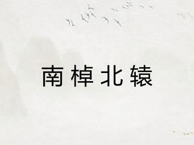南棹北辕