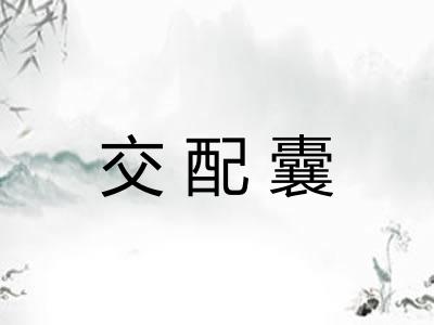 交配囊