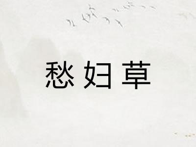 愁妇草