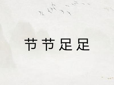 节节足足