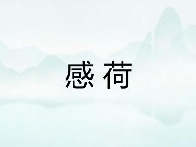 感荷