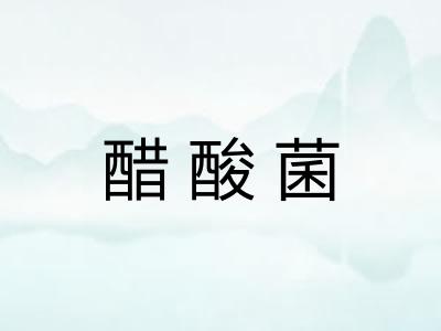 醋酸菌