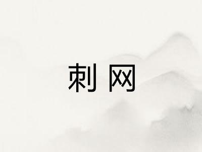 刺网