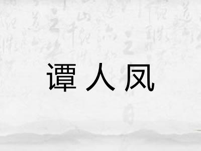 谭人凤