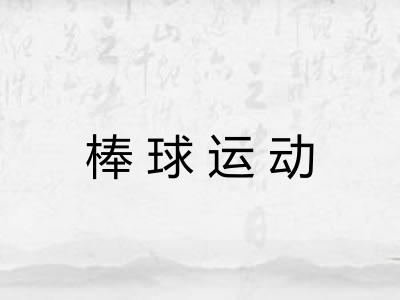 棒球运动