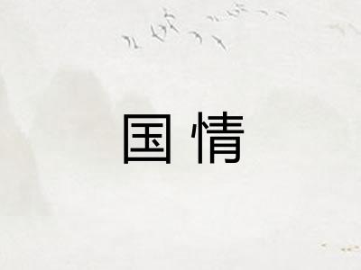 国情