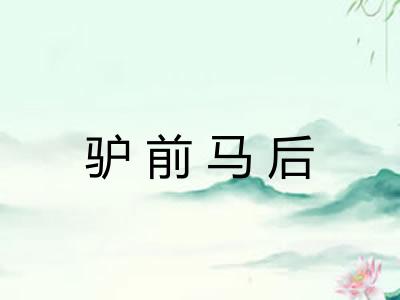 驴前马后