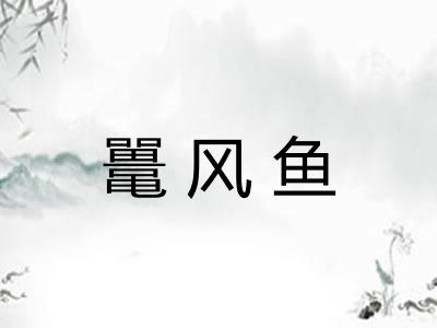 鼍风鱼