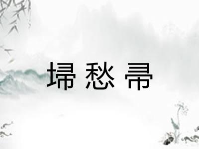 埽愁帚