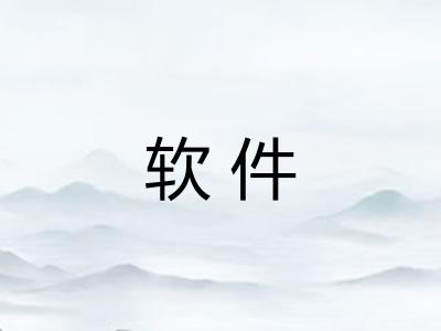 软件