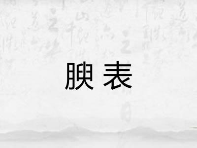 腴表