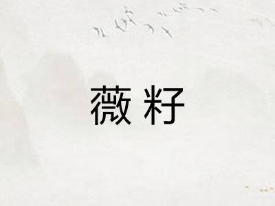 薇籽