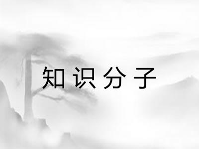 知识分子