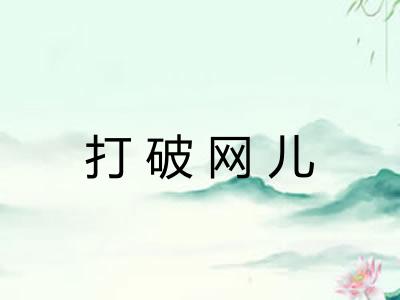 打破网儿