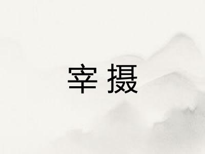 宰摄