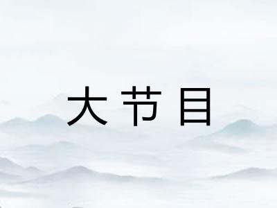 大节目