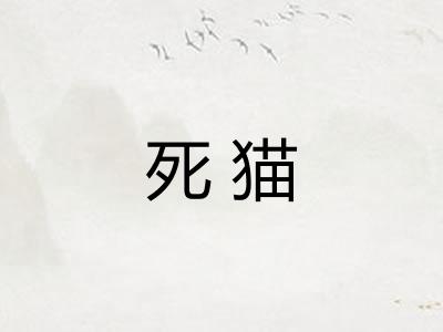 死猫