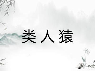 类人猿
