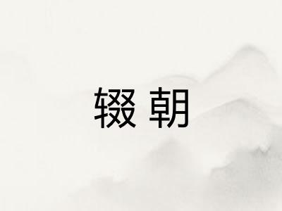 辍朝