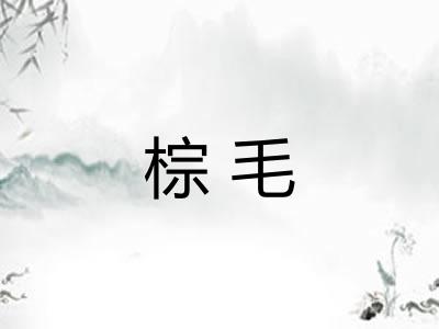 棕毛
