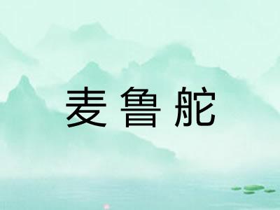 麦鲁舵