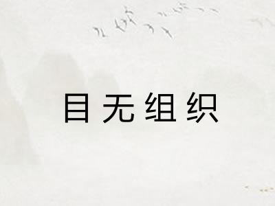 目无组织
