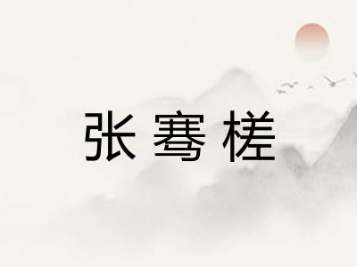 张骞槎