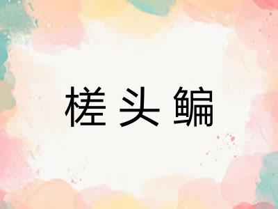 槎头鳊