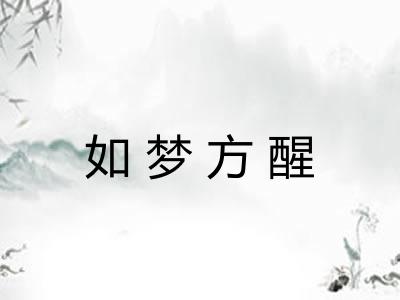 如梦方醒