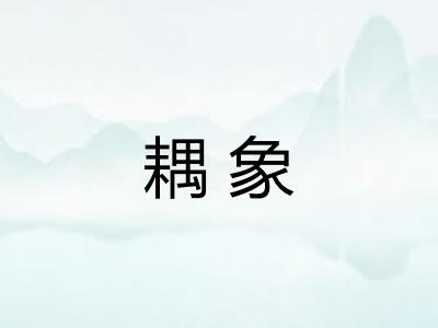 耦象