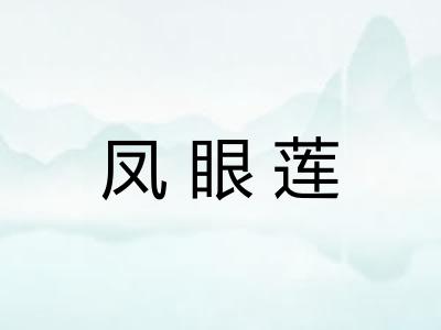 凤眼莲