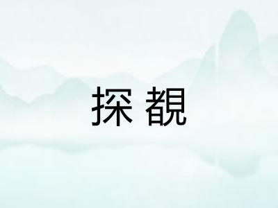 探覩