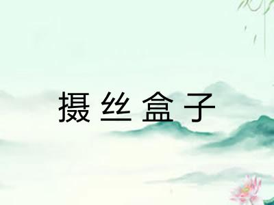 摄丝盒子
