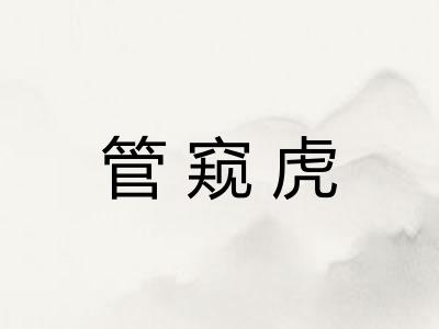管窥虎