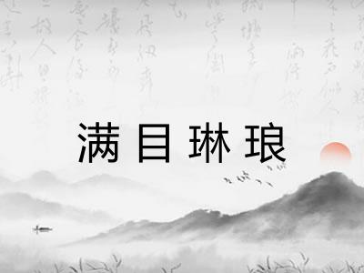 满目琳琅
