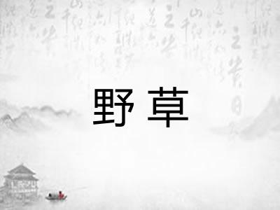 野草