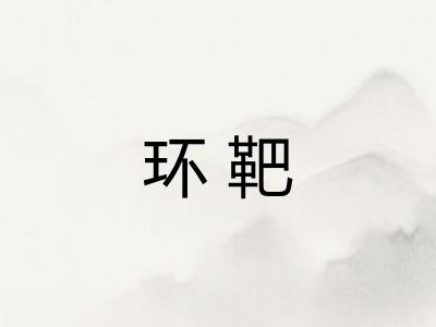 环靶