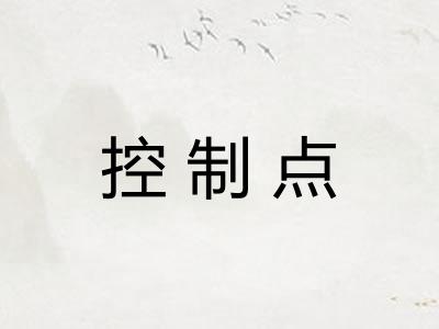 控制点