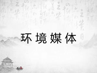 环境媒体