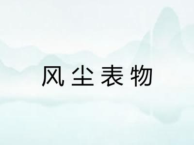 风尘表物
