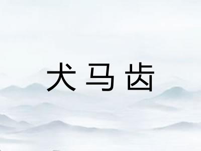 犬马齿