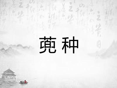 蔸种