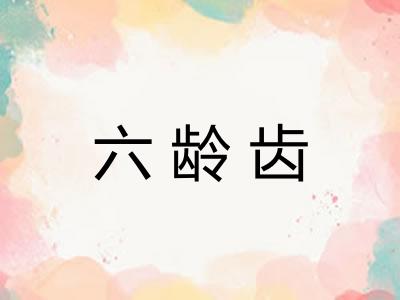 六龄齿