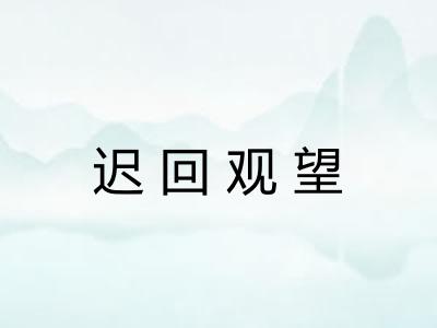 迟回观望