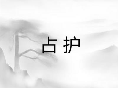 占护