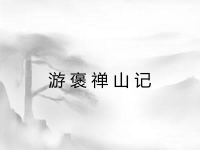 游褒禅山记