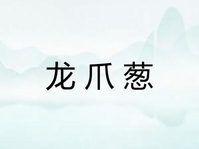 龙爪葱