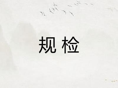 规检